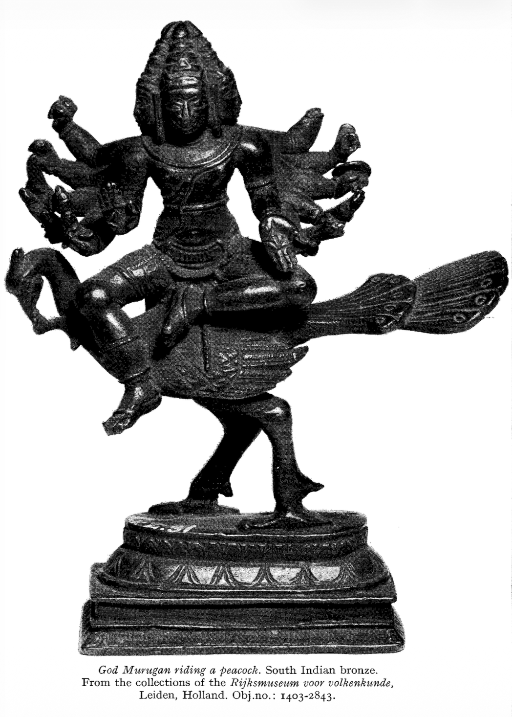 God Murugan riding a peacock. South Indian bronze. From the collections of the Rijksmuseum voor volkenkunde, Leiden, Holland. Obj.no.: 1403-2843.